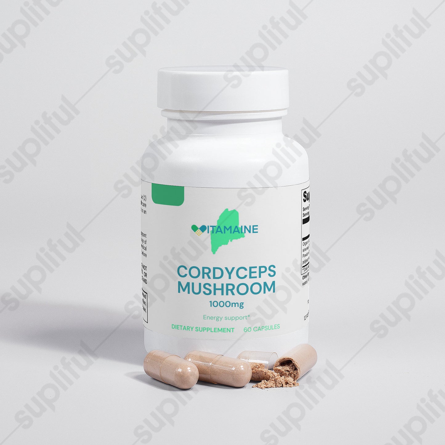 Cordyceps Mushroom